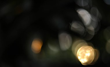 Bokeh arkaplana sahip yeşil doğa arkaplanı