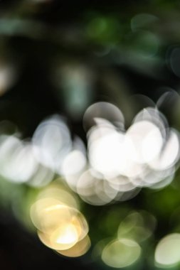 Bokeh arkaplanı ve güneş ışığına sahip yeşil doğa arkaplanı