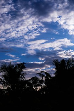 Bulutlu, siluet hindistan cevizi ağacıyla güzel mavi gökyüzü