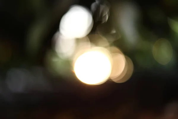 Fundo natureza verde com fundo bokeh e luz solar — Fotografia de Stock