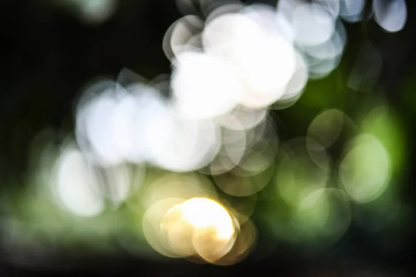 Fundo natureza verde com fundo bokeh — Fotografia de Stock