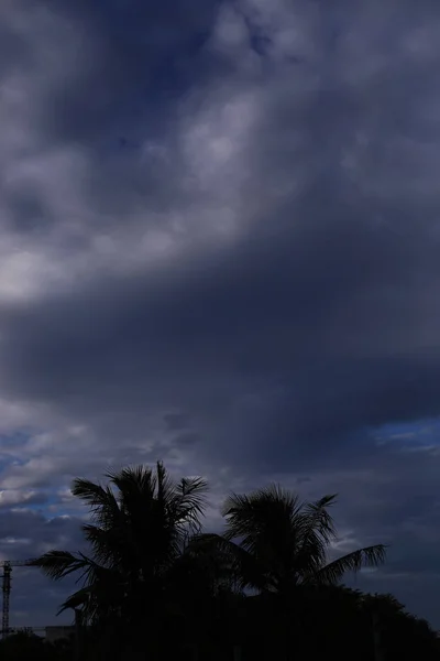 美丽的蓝天，多云，轮廓分明的椰子树 — 图库照片