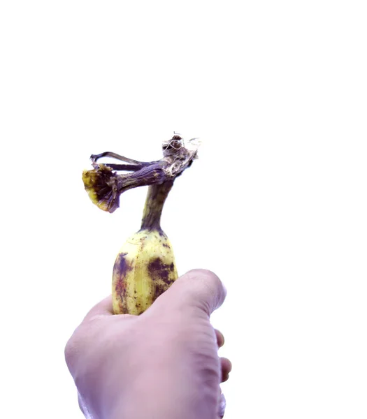 Mão Humana Segurando Conceito de Nutrição de Fruta de Banana — Fotografia de Stock