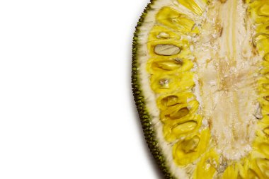 Beyaz arka planda yalıtılmış Jackfruit