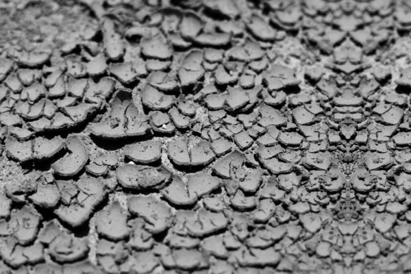 Cracked Clay Ground Dry Seasons — Stock Photo, Image