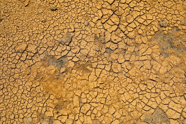 Fondos Textura Del Suelo Seco Vistas Superiores — Foto de Stock