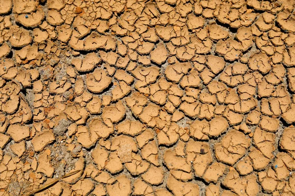 Dry Land Cracked Ground Backgrounds — Stock Photo, Image
