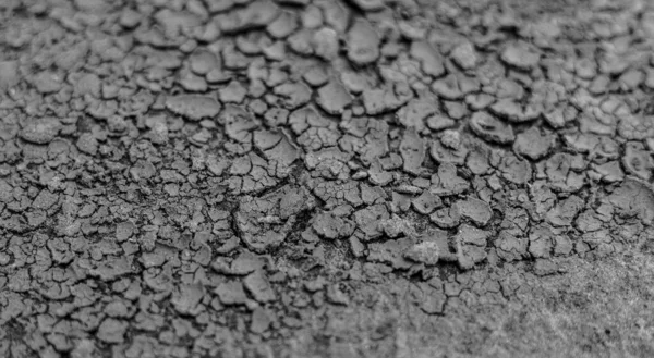 Cracked Earth Cracked Soil Texture Grungy Dry Cracking Parched Earth — Stock Photo, Image