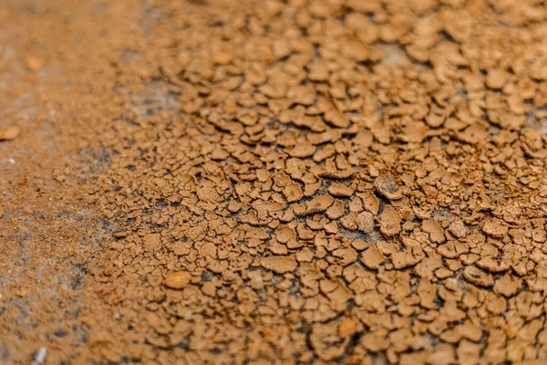 Aufgebrochener Lehmboden Die Trockenzeit — Stockfoto