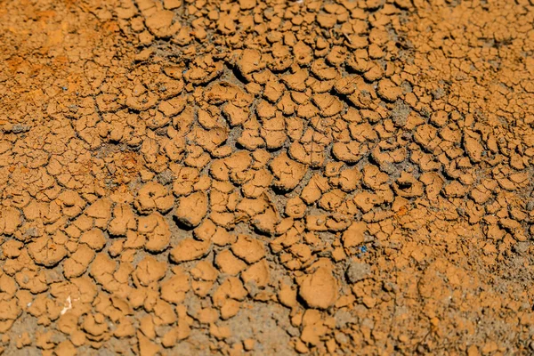 Dry lake bed with natural texture of cracked clay in perspective floor.