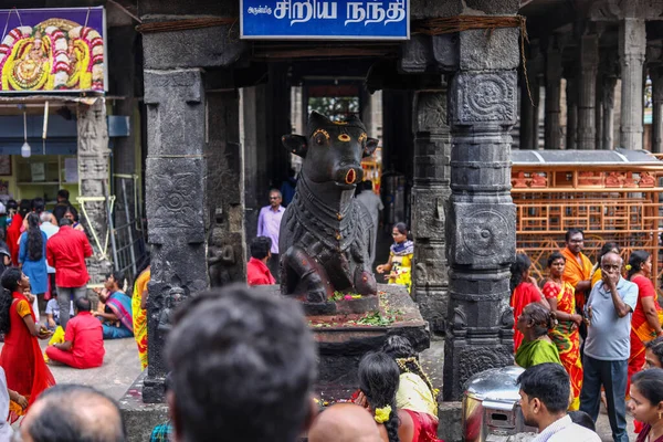 THIRUVANNAMALAI, INDIEN - 24. Dezember 2019: Hindu-Pilger und ausländische Touristen besuchen den Hindu-Tempel mit der Statue des schwarzen Riesen Nandi. Tamil Nadu, Indien — Stockfoto