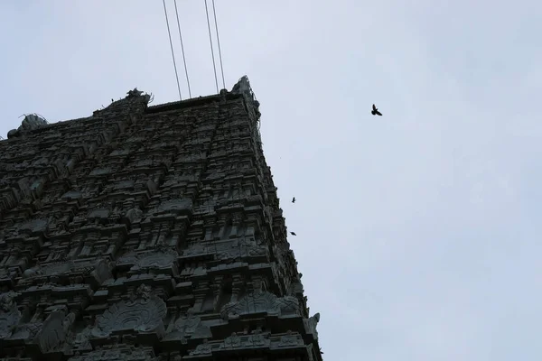 Άποψη του πουλιού στο μπλε φόντο του ουρανού στο ναό Arunachaleswarar είναι το Thiruvannamalai ινδουιστικό ναό στο Tamil Nadu, Ινδία. — Φωτογραφία Αρχείου