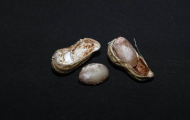 Siyah arka planda izole edilmiş bir grup fıstık.