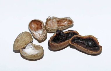 Beyaz arka planda izole edilmiş kabuklu fıstıklar.