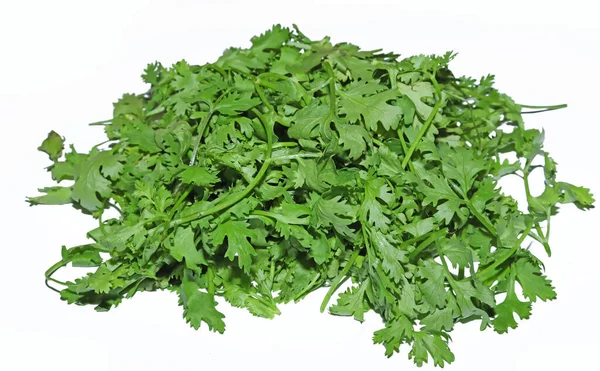 Fresh Coriander Leaves White Background — Stock Photo, Image