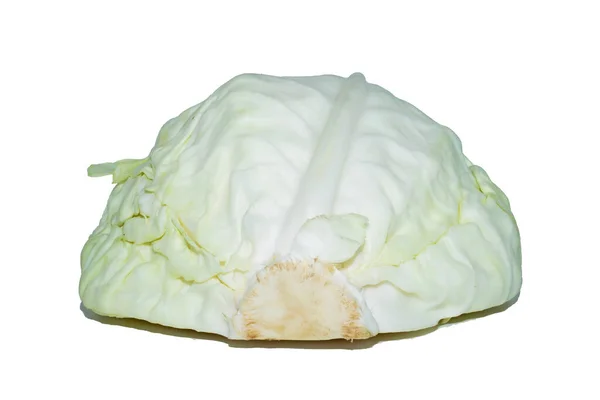 Cabbage Isolated White Backgrounds — Stock Photo, Image