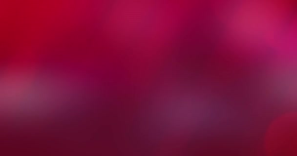 Όμορφη Κινούμενη Θολή Κόκκινο Και Ροζ Φόντο — Αρχείο Βίντεο