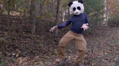 Bir parkta dışarıda bir panda kafa maskesi ile adam aptal dans