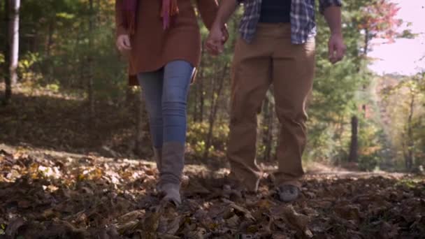 Молодий підходить чоловік і жінка тримає руки під час прогулянки через опале листя — стокове відео