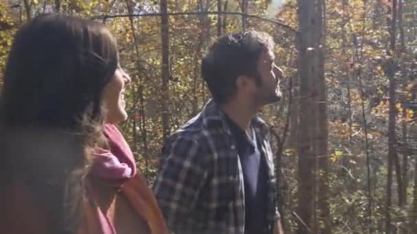 Krásný pár procházející lesem spolu s oslněním slunce — Stock video