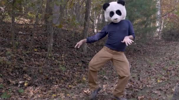 Hombre tonto bailando con una máscara de cabeza de panda mientras está fuera en un parque — Vídeos de Stock