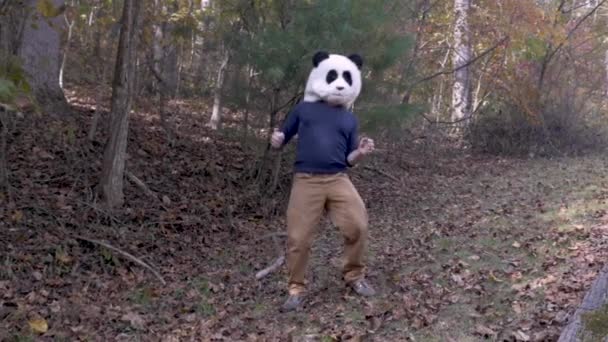 Чоловік у масці з головою панди танцює та святкує надворі у парку — стокове відео