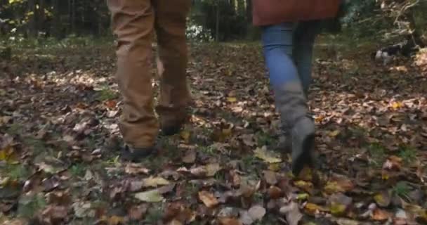 Cámara sigue a un hombre y una mujer caminando con su perro en el bosque — Vídeos de Stock