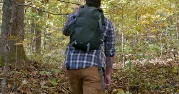 Камера следует за молодым человеком с рюкзаком, идущим или идущим по лесу — стоковое видео