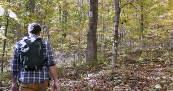 Hombre caminando por el bosque solo con una pequeña mochila — Vídeo de stock