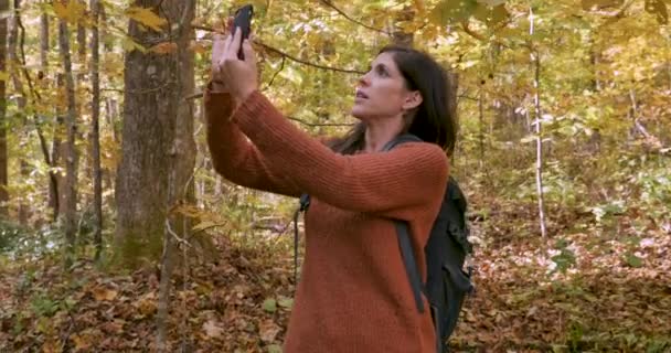 Zły kobieta nie może uzyskać usługi komórkowej na jej inteligentny telefon w lesie — Wideo stockowe