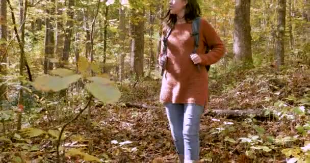 Joyeux sourire jeune femme randonnée à travers les bois colorés pendant la journée — Video