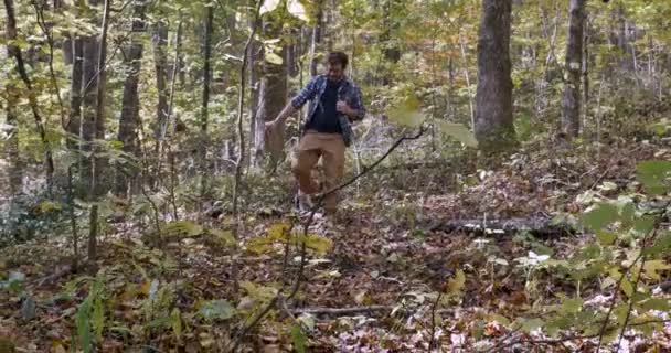 Homem caminhando pela floresta com seu pequeno cão Boston Terrier durante o dia — Vídeo de Stock