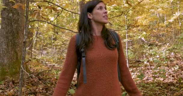 Nő egyedül az erdőben kiabálva segítséget, míg a maga túrázás — Stock videók