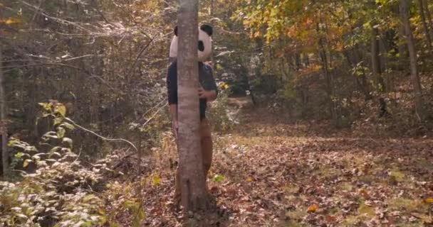 Man draagt een Panda hoofd masker piek van achter een boom in een park of bos — Stockvideo