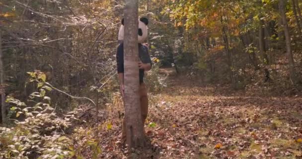 Hombre con una máscara de cabeza de panda que llega desde detrás de un árbol en un parque o bosque — Vídeo de stock