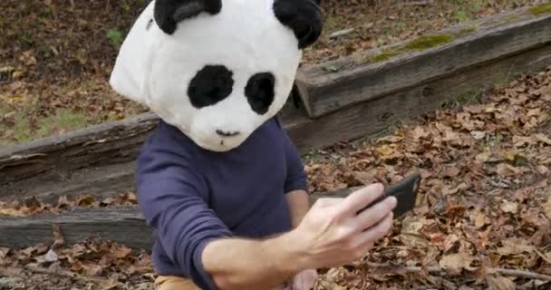 Muž, který nosí masku v hlavě pandy, fotografoval sám s mobilním telefonem — Stock video