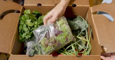 Bir çiftçi pazarından taze mevsimorganik sebze bir kutu açma el