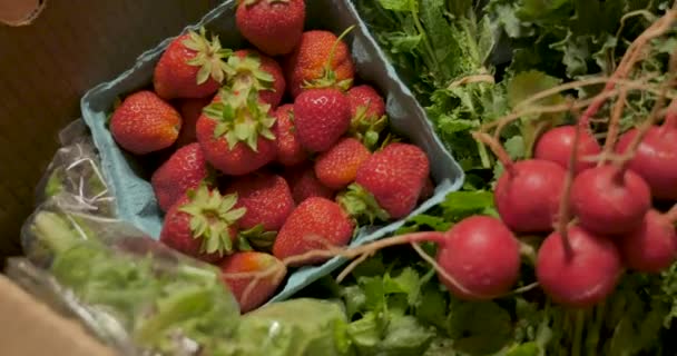 Produtos sazonais orgânicos frescos de uma caixa de agricultura apoiada pela comunidade — Vídeo de Stock