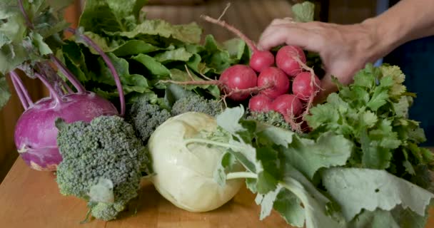 Preluarea de mână a unei varietăți de produse și legume de pe o piață agricolă — Videoclip de stoc