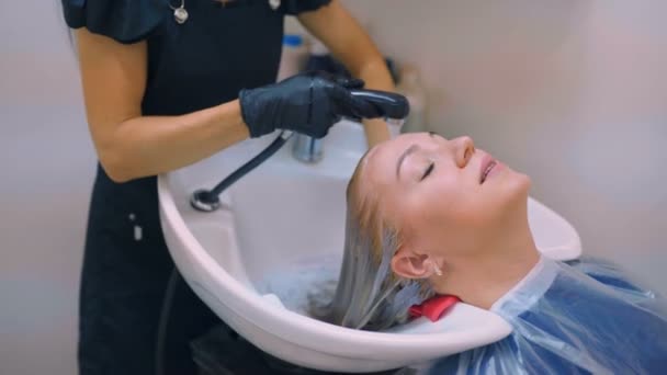 プロの美容師が Ctudio 髪を乾燥 — ストック動画