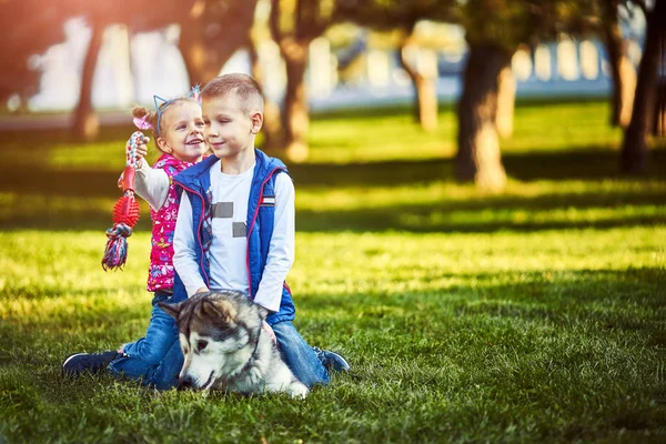 büyük bir köpek olan küçük bir çocuğun en iyi arkadaş oldular