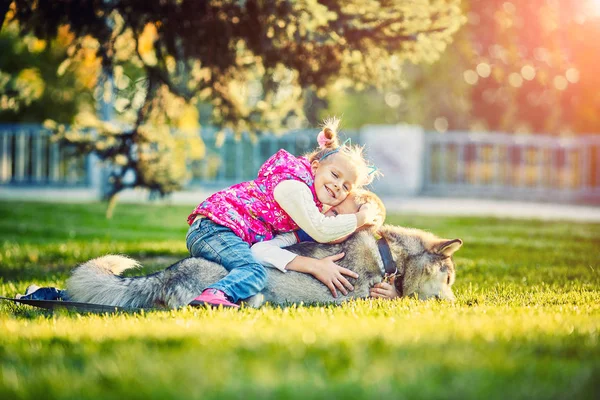 büyük bir köpek olan küçük bir çocuğun en iyi arkadaş oldular