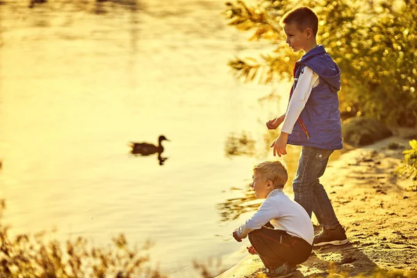 Two Friends Feed Ducks River — Stock Photo, Image