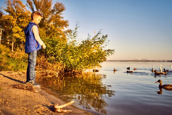 Gelukkig Tiener Gooit Brood Voor Eenden Rivier — Stockfoto