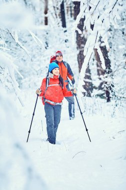 Turistler kış ormanda yürüyor.