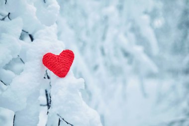 Mutlu çift bir kamp ateşi karlı kış orman üzerinde