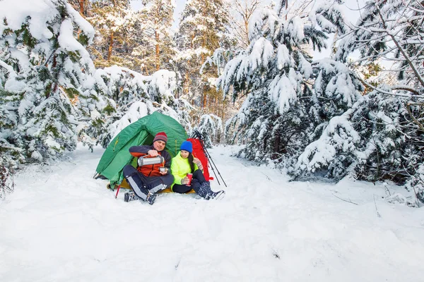 Los Turistas Están Caminando Bosque Invierno — Foto de Stock