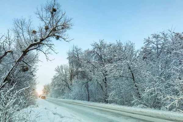 Puesta Sol Bosque Período Invierno — Foto de Stock