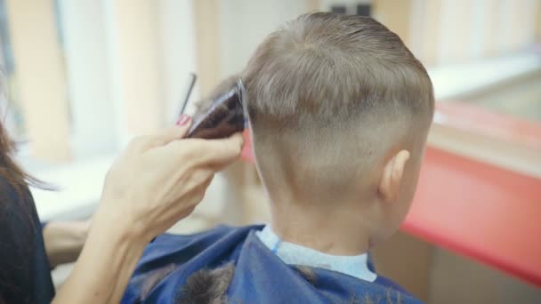 Hairdresser cutting hair with barber scissors in children hairdressing salon. — Stock Footage Hairdresser Cutting Hair Barber Scissors Children Hairdressing Salon Royalty Free Stock Footage