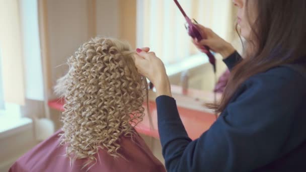 Lächelnde Friseurin Frisiert Hübsche Junge Frau Mit Langen Blonden Haaren — Stockvideo